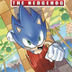 Image for article titled Meet Rough And Tumble, Two Brand-New Sonic Comic Villains